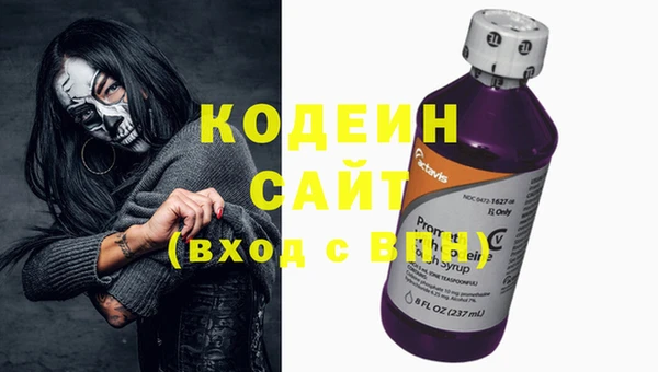 прущие грибы Кодинск