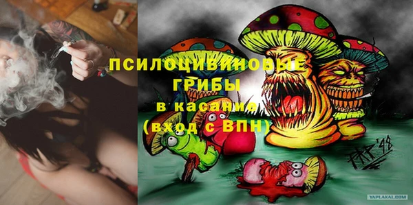 мяу мяу мука Горно-Алтайск