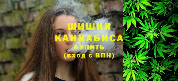 мяу мяу мука Горно-Алтайск