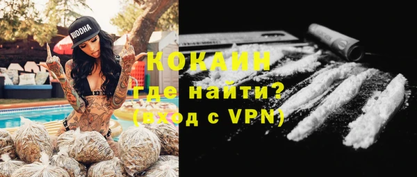 мяу мяу мука Горно-Алтайск