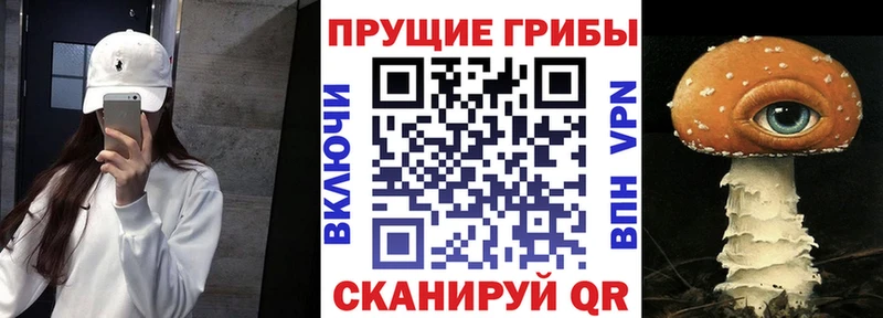 Псилоцибиновые грибы мухоморы Печоры